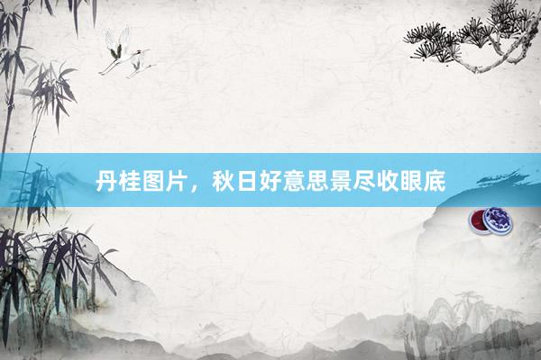 丹桂图片，秋日好意思景尽收眼底