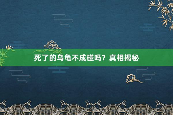 死了的乌龟不成碰吗？真相揭秘