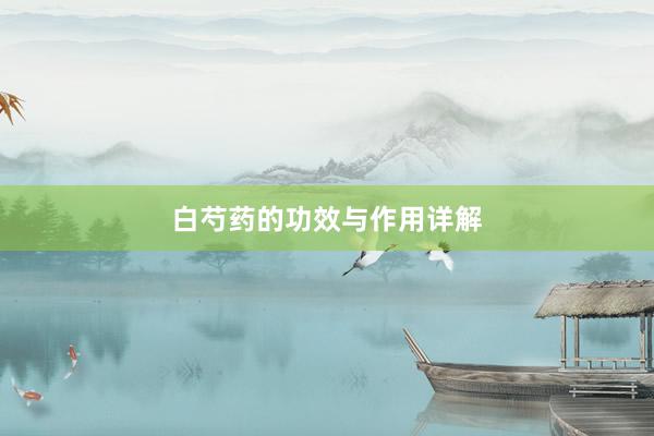白芍药的功效与作用详解