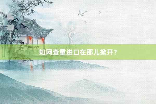 知网查重进口在那儿掀开?