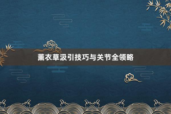 薰衣草汲引技巧与关节全领略