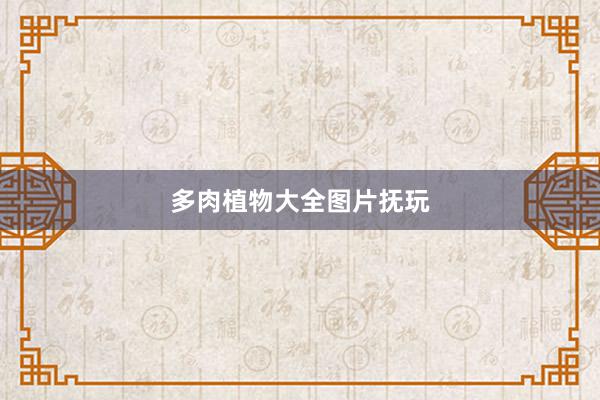多肉植物大全图片抚玩