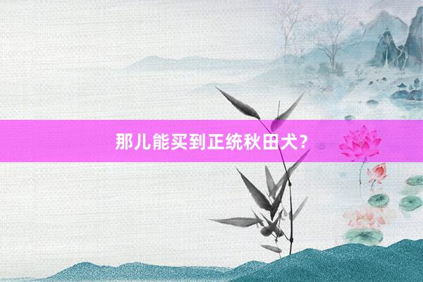 那儿能买到正统秋田犬？